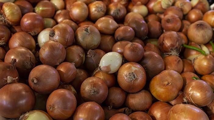 Bu yöntemler soğan doğrarken göz yaşarmasını engelliyor 5